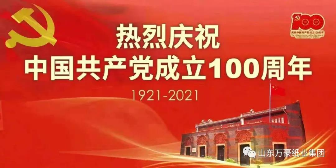 山东j9九游会国际纸业集团党委召开“庆七一”党员座谈会